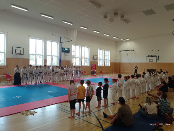 31. 5. 2025 - Oddílové závody, Brno