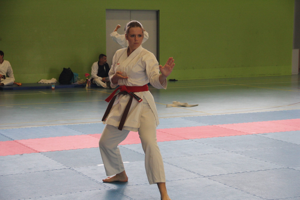 19. - 20. 9. 2026 - Seminář soke Jorga a Fudokan Cup, Praha - Ilustrační obrázek
