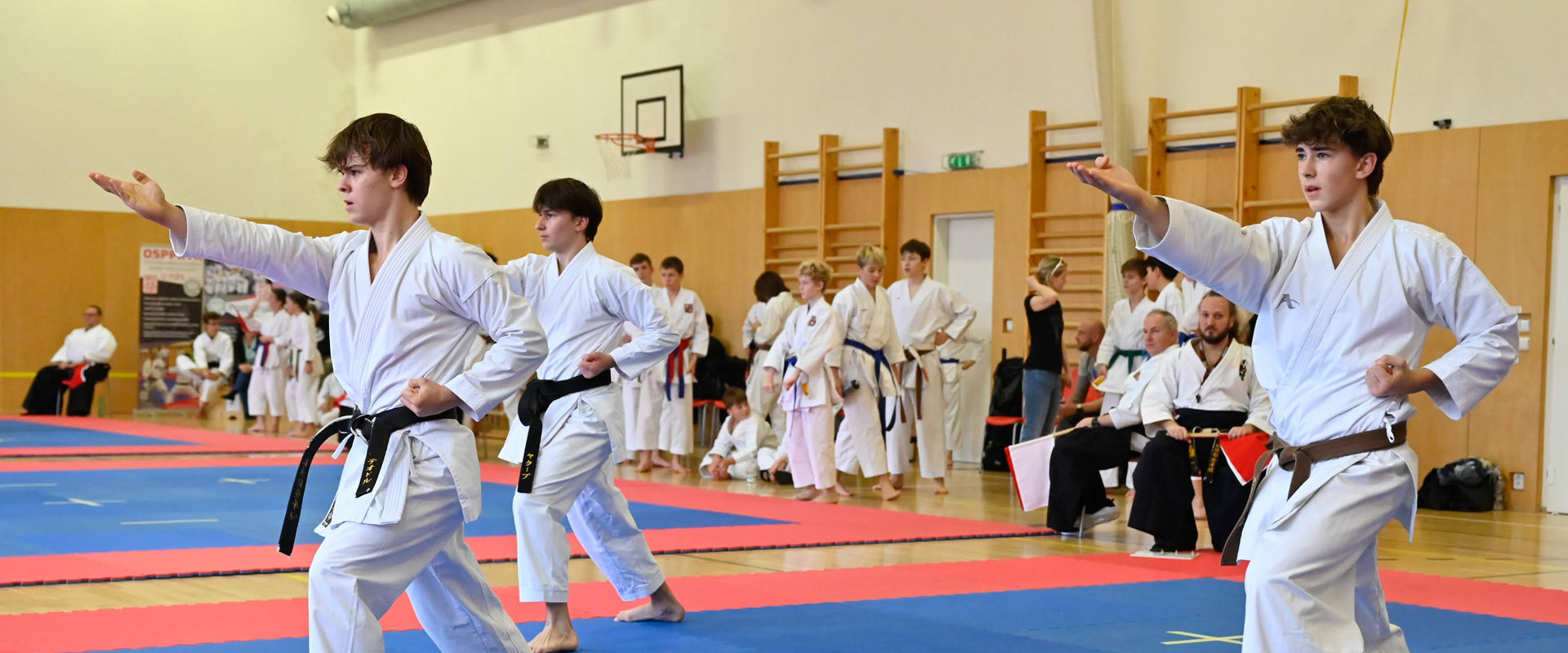 Banner Slider - Akce - Drak