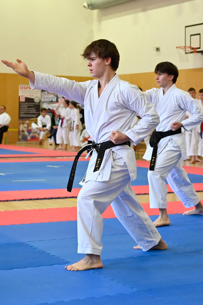 Banner Slider - Akce - Drak