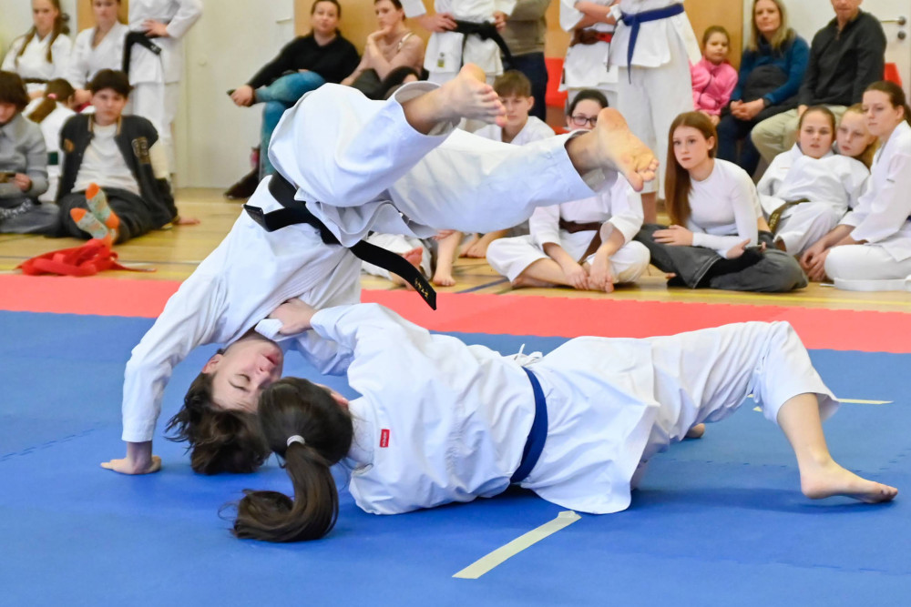 Soutěžní disciplíny tradičního karate - Ilustrační obrázek