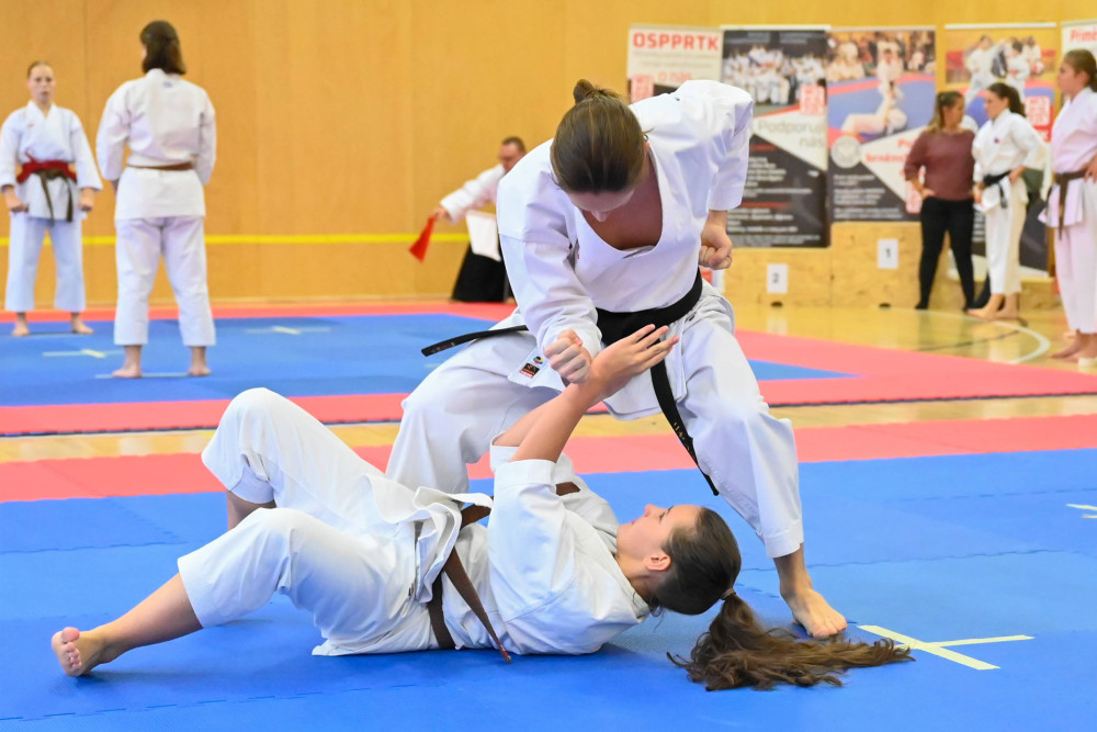 Momentky - Ilustrační obrázek