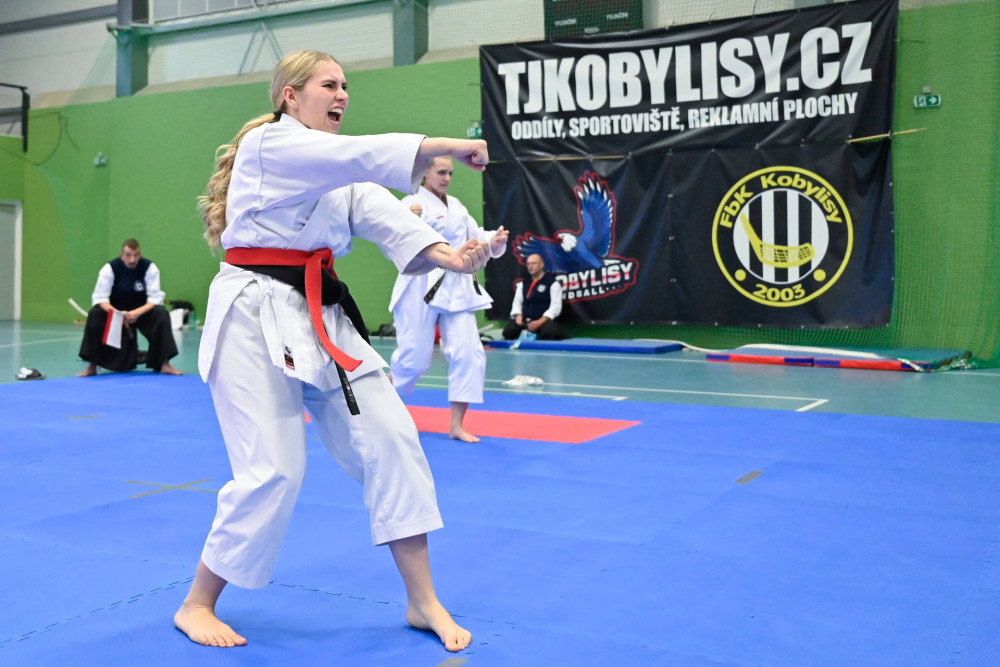 Momentky - Ilustrační obrázek