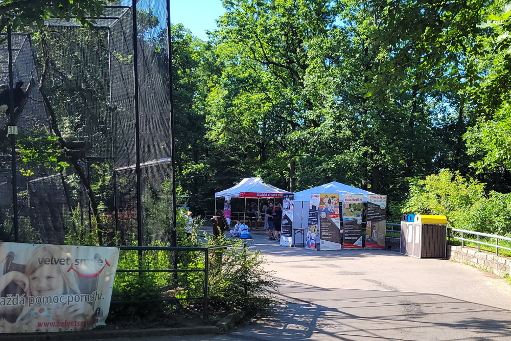 Dd Zoo