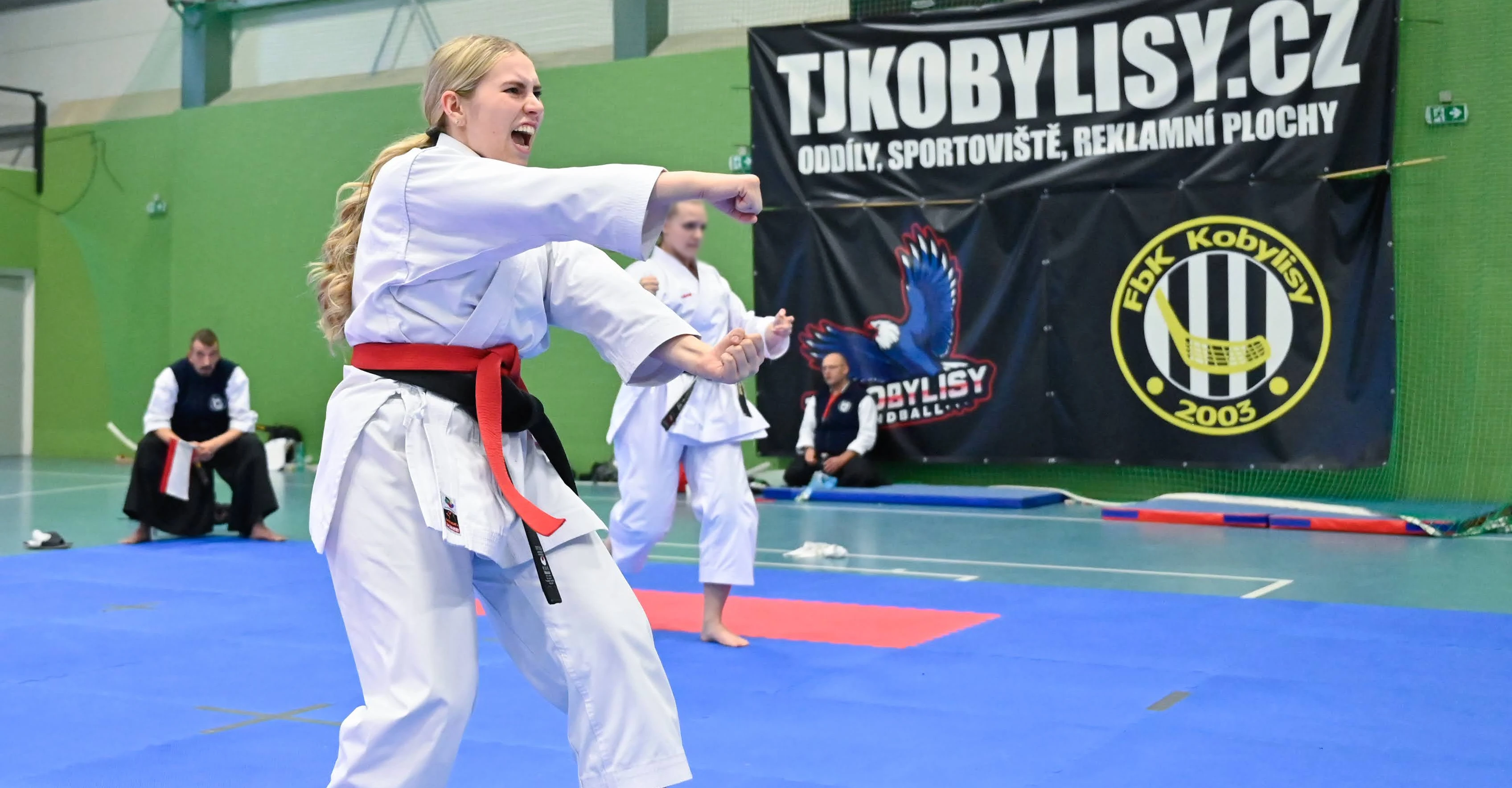 Discipliny Kata New