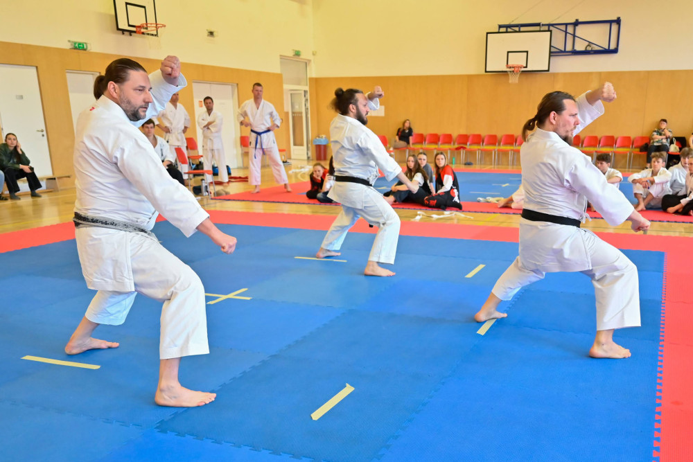 Momentky - Ilustrační obrázek