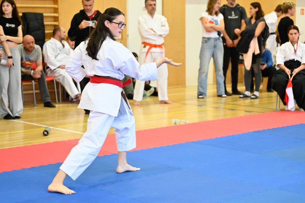 Momentky - Ilustrační obrázek