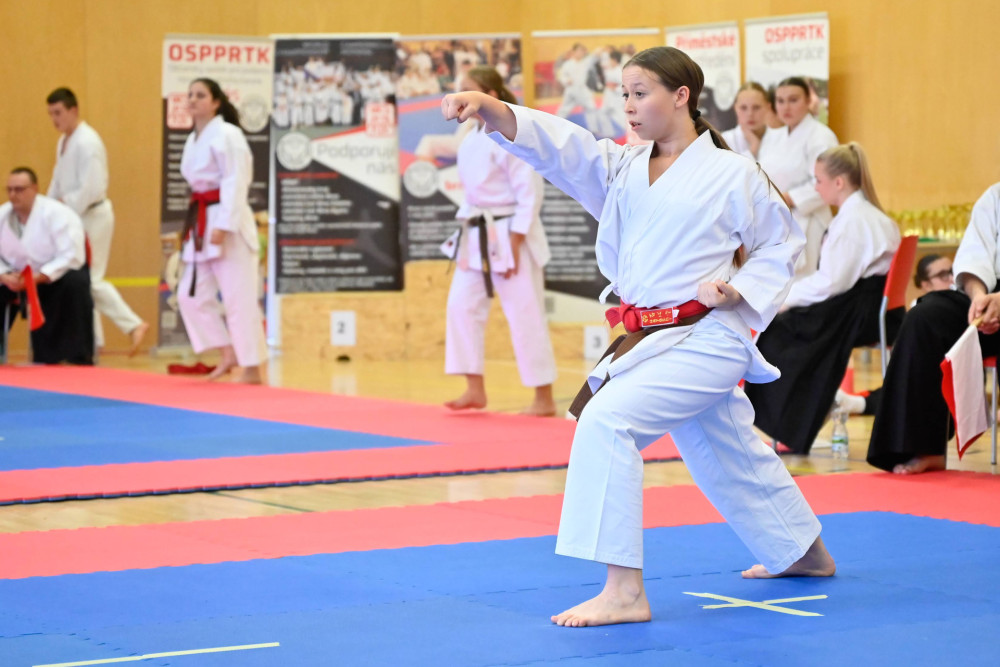 Momentky - Ilustrační obrázek