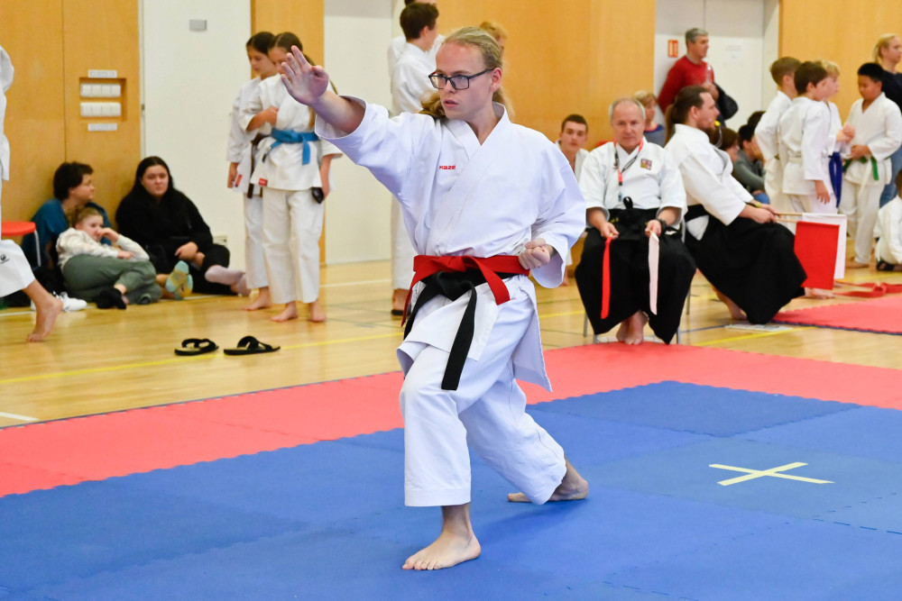 Momentky - Ilustrační obrázek